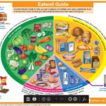 Eatwell Guide - Cumbria, Northumberland, Tyne and Wear NHS Foundation Trust