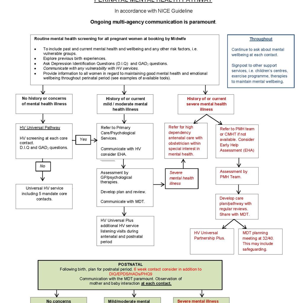 perinatal-mental-health-pathway-final-cumbria-northumberland-tyne