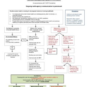 Perinatal Mental Health Pathway Final - Cumbria, Northumberland, Tyne 